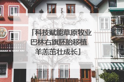 科技赋能草原牧业 巴林右旗胚胎移植羊羔茁壮成长