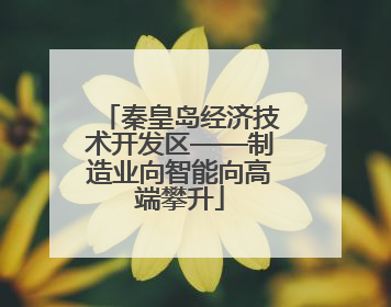 秦皇岛经济技术开发区——制造业向智能向高端攀升
