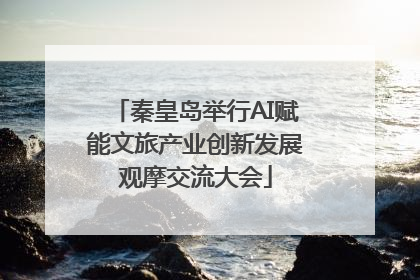 秦皇岛举行AI赋能文旅产业创新发展观摩交流大会