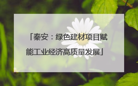 秦安：绿色建材项目赋能工业经济高质量发展