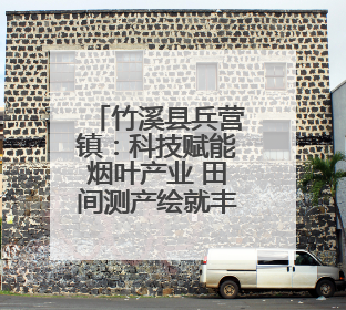 竹溪县兵营镇：科技赋能烟叶产业 田间测产绘就丰收图景