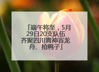 端午将至，5月29日20支队伍齐聚四川青神赛龙舟、抢鸭子