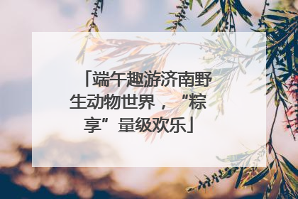 端午趣游济南野生动物世界，“粽享”量级欢乐