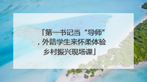 第一书记当“导师”，外籍学生来怀柔体验乡村振兴现场课