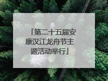 第二十五届安康汉江龙舟节主题活动举行