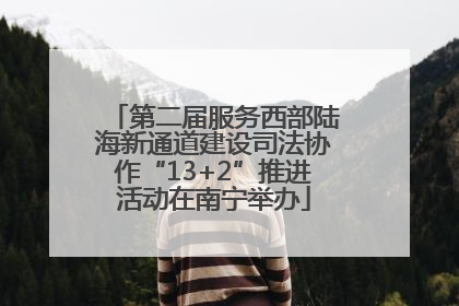 第二届服务西部陆海新通道建设司法协作“13+2”推进活动在南宁举办