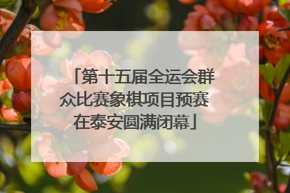 第十五届全运会群众比赛象棋项目预赛在泰安圆满闭幕