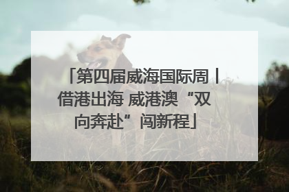 第四届威海国际周丨借港出海 威港澳“双向奔赴”闯新程