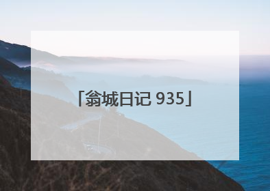 翁城日记 935