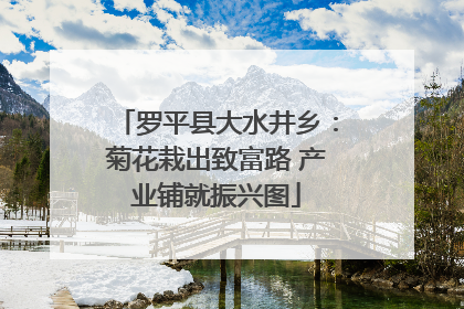 罗平县大水井乡：菊花栽出致富路 产业铺就振兴图