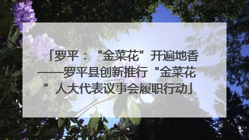 罗平：“金菜花”开遍地香——罗平县创新推行“金菜花”人大代表议事会履职行动
