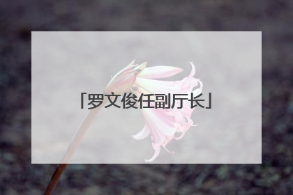 罗文俊任副厅长
