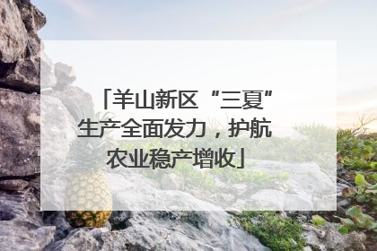 羊山新区“三夏”生产全面发力，护航农业稳产增收