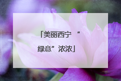 美丽西宁 “绿意”浓浓