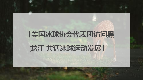 美国冰球协会代表团访问黑龙江 共话冰球运动发展