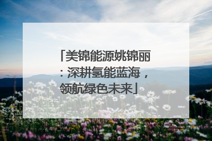 美锦能源姚锦丽：深耕氢能蓝海，领航绿色未来