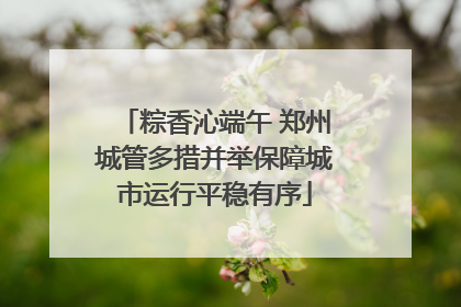 粽香沁端午 郑州城管多措并举保障城市运行平稳有序