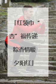 红领巾“杏”福传递 粽香情暖夕阳红