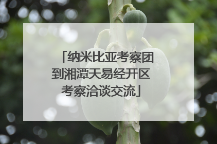 纳米比亚考察团到湘潭天易经开区考察洽谈交流