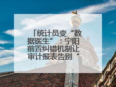 统计员变“数据医生”：宁阳前置纠错机制让审计报表告别“带病上岗”