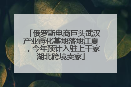 俄罗斯电商巨头武汉产业孵化基地落地江夏，今年预计入驻上千家湖北跨境卖家