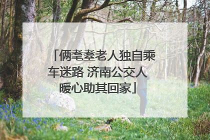 俩耄耋老人独自乘车迷路 济南公交人暖心助其回家