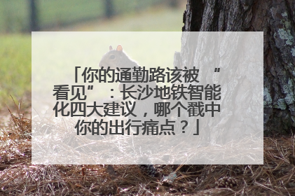你的通勤路该被 “看见”：长沙地铁智能化四大建议，哪个戳中你的出行痛点？