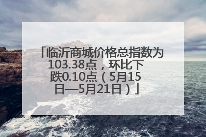临沂商城价格总指数为103.38点，环比下跌0.10点（5月15日—5月21日）