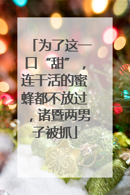 为了这一口“甜”，连干活的蜜蜂都不放过，诸暨两男子被抓