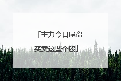 主力今日尾盘买卖这些个股
