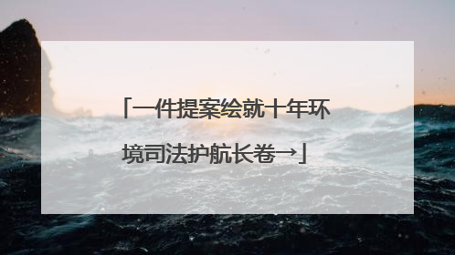 一件提案绘就十年环境司法护航长卷→