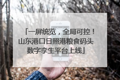一屏统览，全局可控！山东港口日照港粮食码头数字孪生平台上线