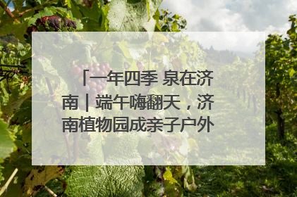 一年四季 泉在济南｜端午嗨翻天，济南植物园成亲子户外热门打卡地