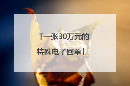 一张30万元的特殊电子回单