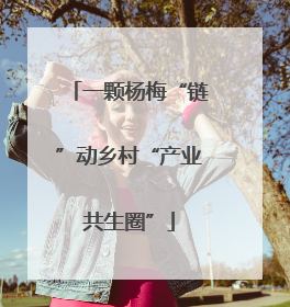 一颗杨梅“链”动乡村“产业共生圈”