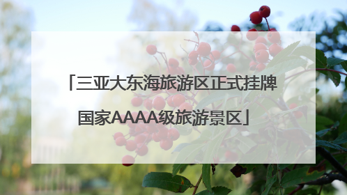 三亚大东海旅游区正式挂牌国家AAAA级旅游景区