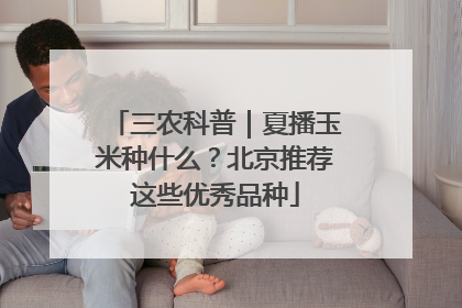 三农科普｜夏播玉米种什么？北京推荐这些优秀品种