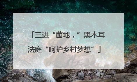 三进“菌地，”黑木耳法庭“呵护乡村梦想”
