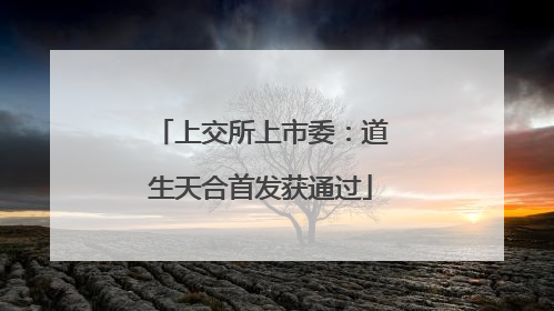 上交所上市委：道生天合首发获通过