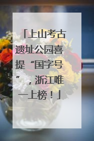 上山考古遗址公园喜提“国字号”，浙江唯一上榜！
