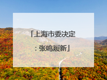 上海市委决定：张鸣履新