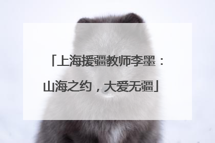 上海援疆教师李墨：山海之约，大爱无疆