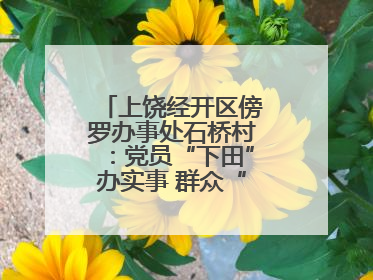 上饶经开区傍罗办事处石桥村：党员“下田”办实事 群众“点赞”笑开颜