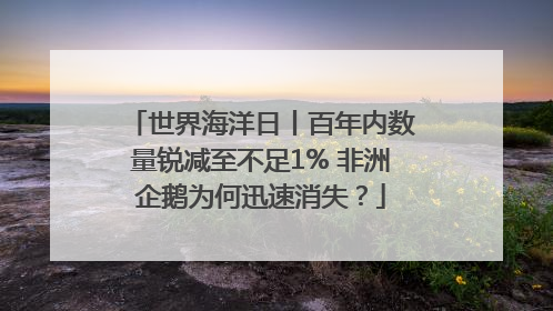 世界海洋日丨百年内数量锐减至不足1% 非洲企鹅为何迅速消失？