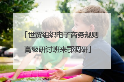 世贸组织电子商务规则高级研讨班来鄂调研