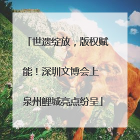 世遗绽放，版权赋能！深圳文博会上 泉州鲤城亮点纷呈