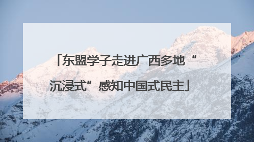 东盟学子走进广西多地“沉浸式”感知中国式民主