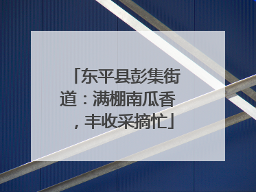 东平县彭集街道：满棚南瓜香，丰收采摘忙