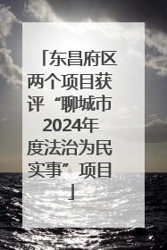东昌府区两个项目获评“聊城市2024年度法治为民实事”项目