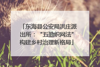 东海县公安局洪庄派出所：“五勤织网法”构建乡村治理新格局